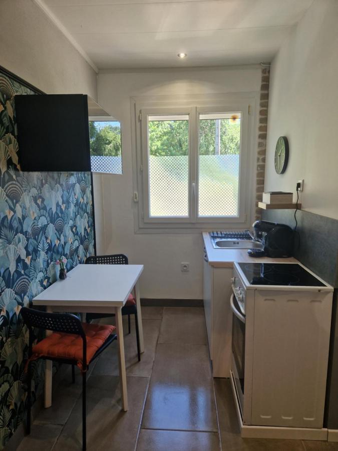 Appartement Independant Dans Maison Avec Jardinet, Au Calme Sérézin-du-Rhône Buitenkant foto
